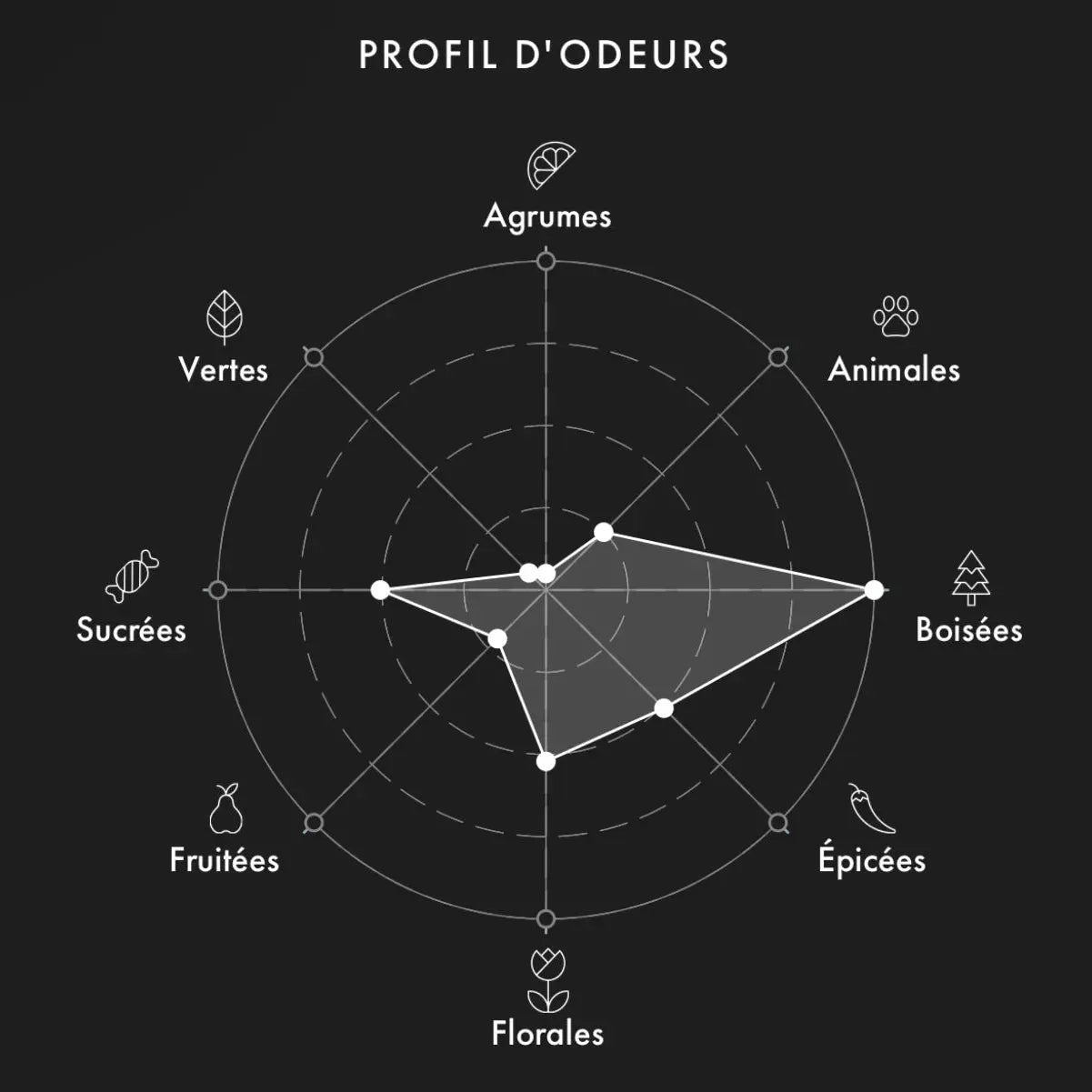 ARMANI Bleu Turquoise