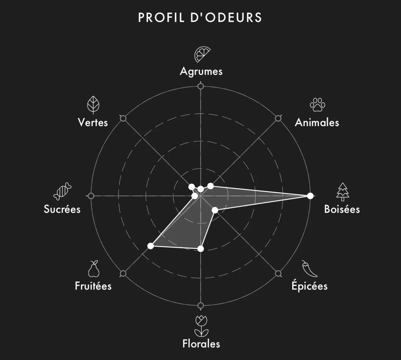 ELECTIMUSS Célestial decanter FoFparfums
