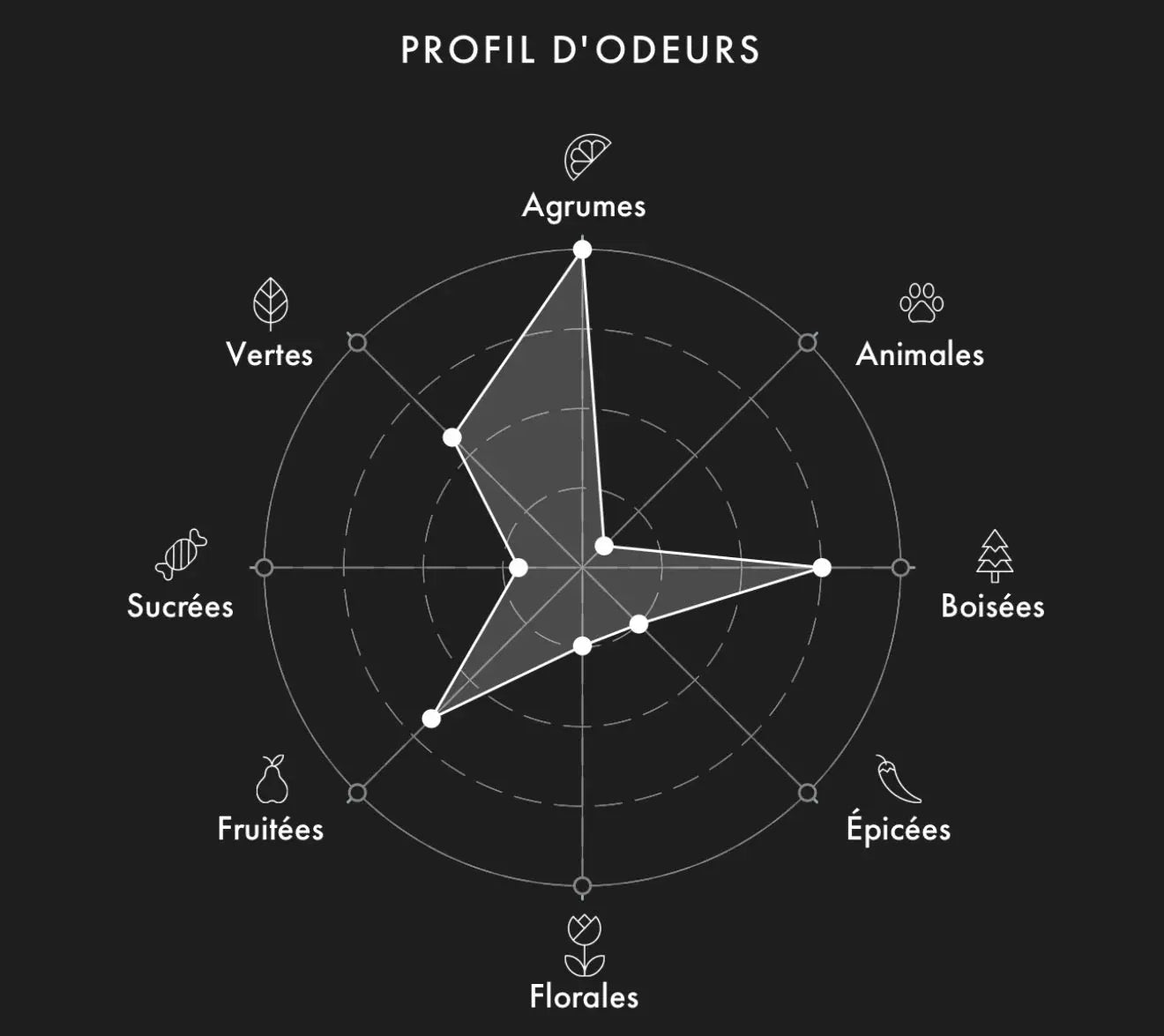 Échantillon Fragrance Du Bois Solstis 2ml/5ml/9.5ml