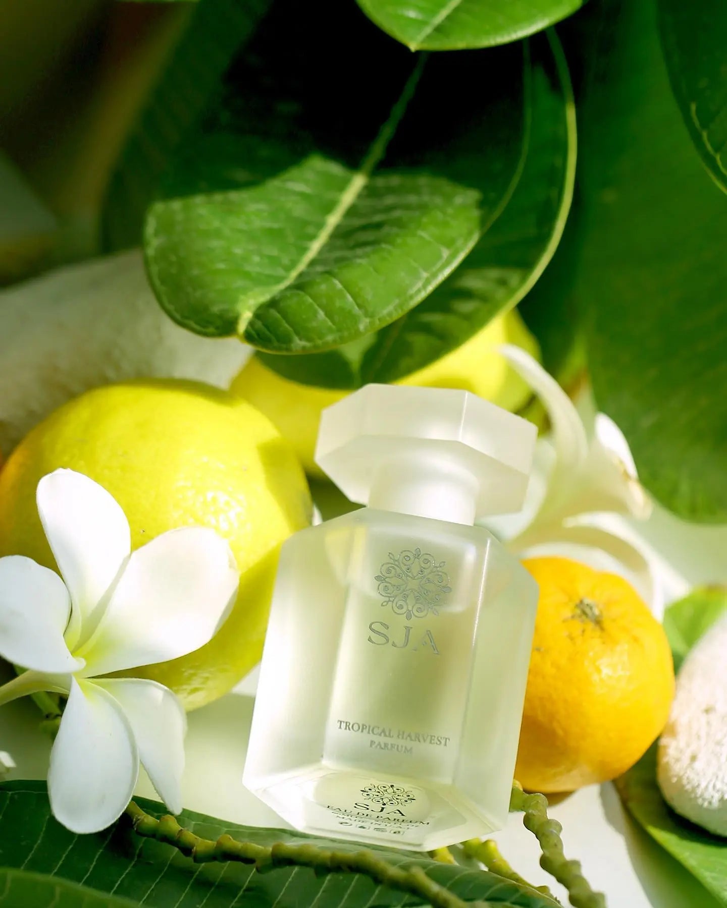 SJA Tropical harvest decantage parfum FoFparfums