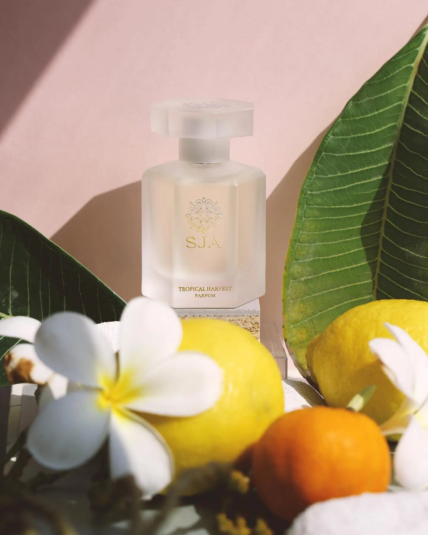 SJA Tropical harvest decantage parfum FoFparfums