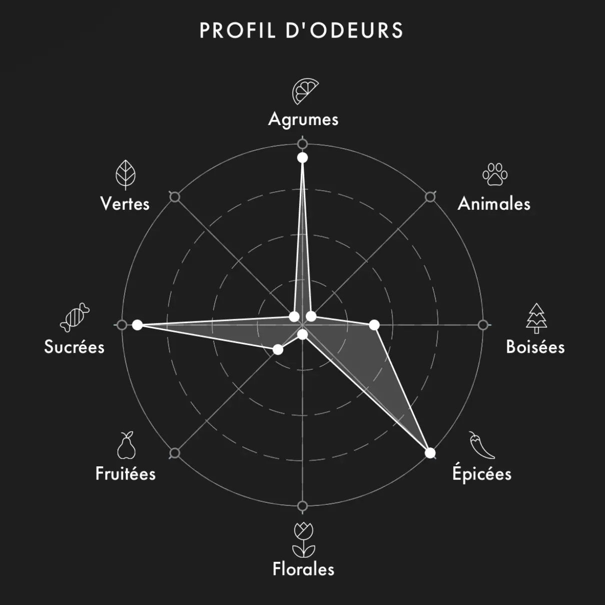 SORA DORA Brocéliande