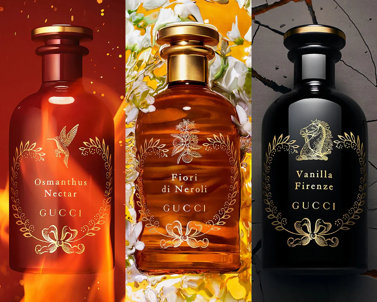 GVCCI FoFparfums
