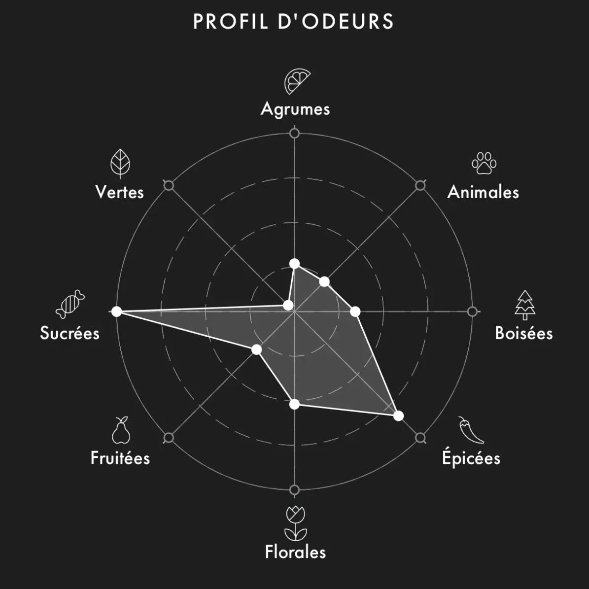 ELECTIMUSS Moroccan Medjool