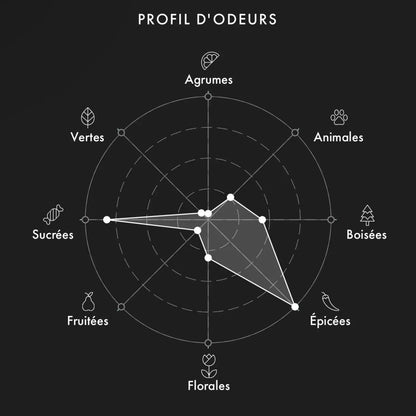 Échantillon CREED Delphinus 2ml/5ml/9.5ml FoFparfums