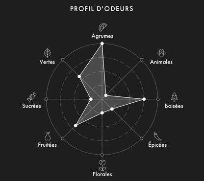 Échantillon Fragrance Du Bois Solstis 2ml/5ml/9.5ml