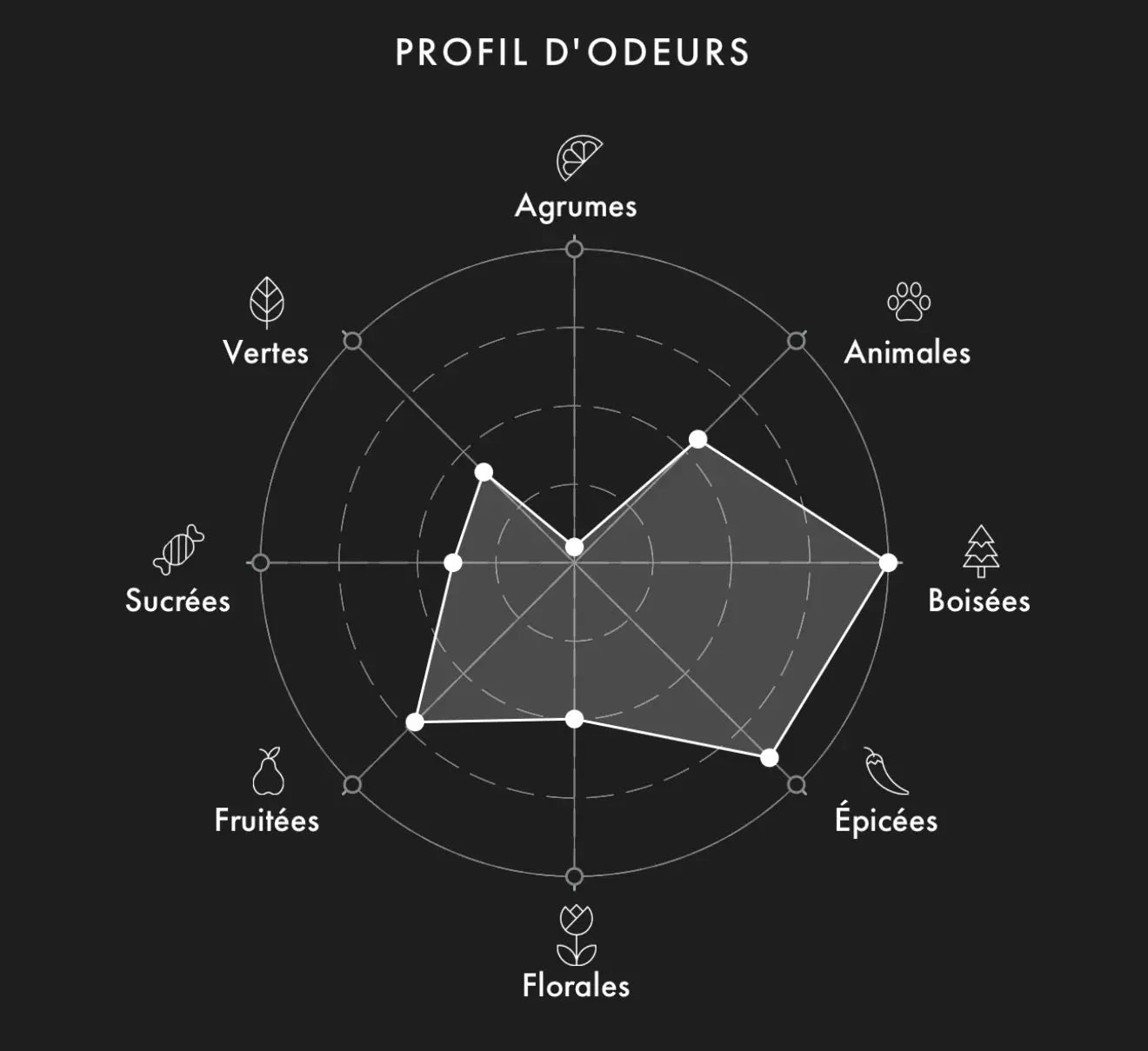 Échantillon FORT & MANLE Suleyman 2ml/5ml/9.5ml