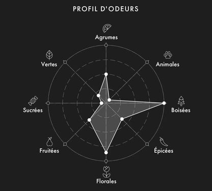 FREDERIC MALLE Noir Epices FoFparfums