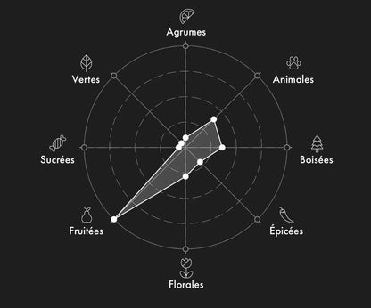 FREDERIC MALLE The Moon