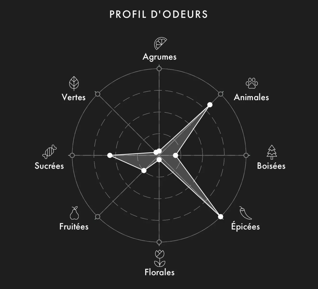 GVCCI Muschio Mineralis