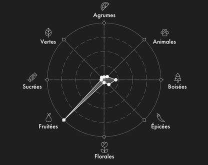 Échantillon GVCCI The Heart Of Léo 2ml/5ml/9.5ml