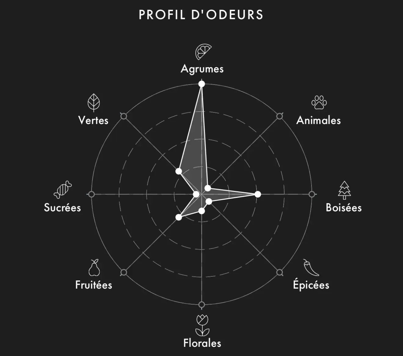 Échantillon LV Météore 2ml/5ml/9.5ml