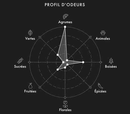 Échantillon LV Météore 2ml/5ml/9.5ml