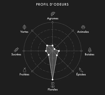 MEMO Marfa decant FoFparfums