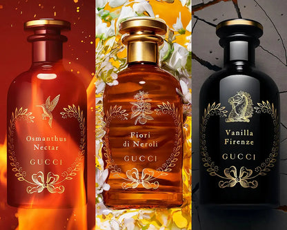 Pack GVCCI FoFparfums