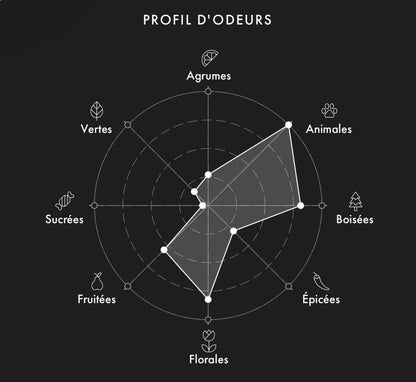 ROJA Amber Aoud decant