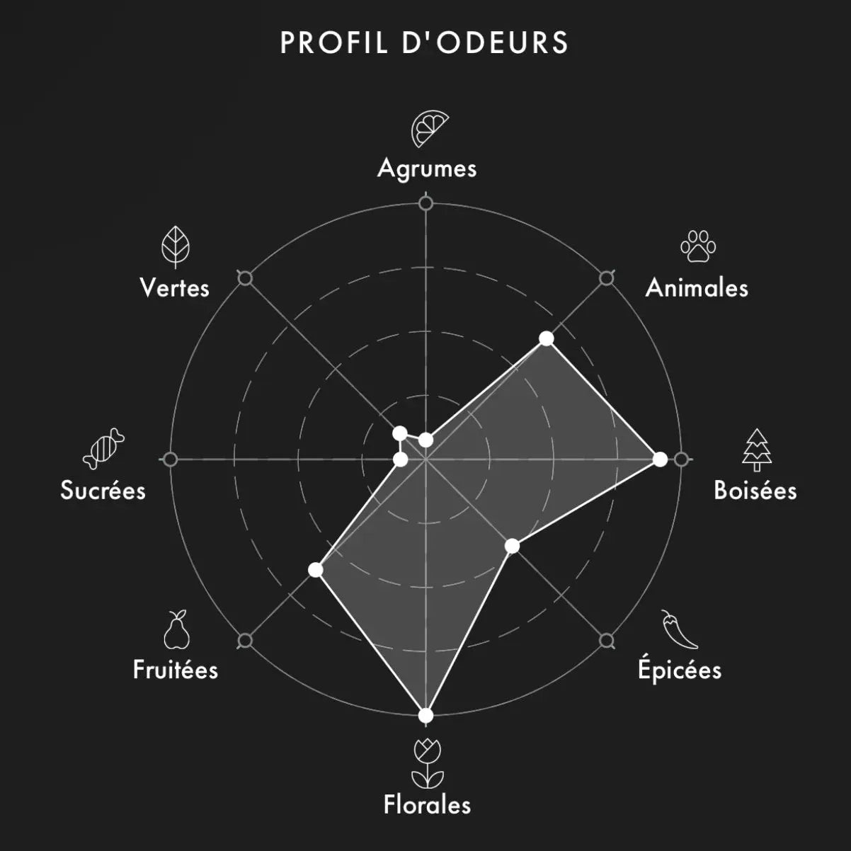 ROJA Emirats Arabe Unis decant