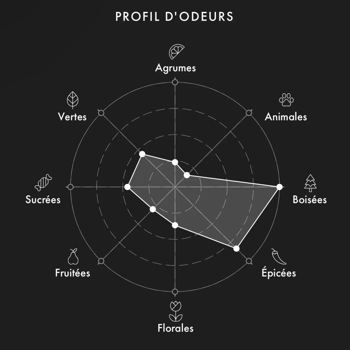 ROJA Manhattan decant