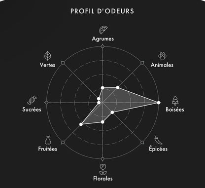 ROJA Sultanat Oman decantage