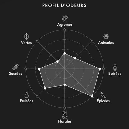 SHL Soleil De Jeddah Afterglow