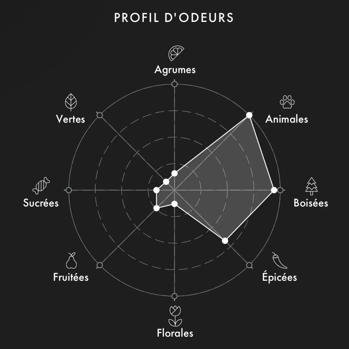 UNIQUEE LUXURY Woud And Mood decant