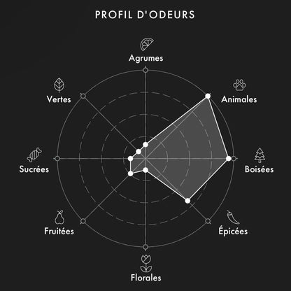 UNIQUEE LUXURY Woud And Mood decant