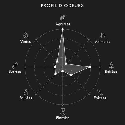 UNIQUE'E LUXURY Zengi decantage