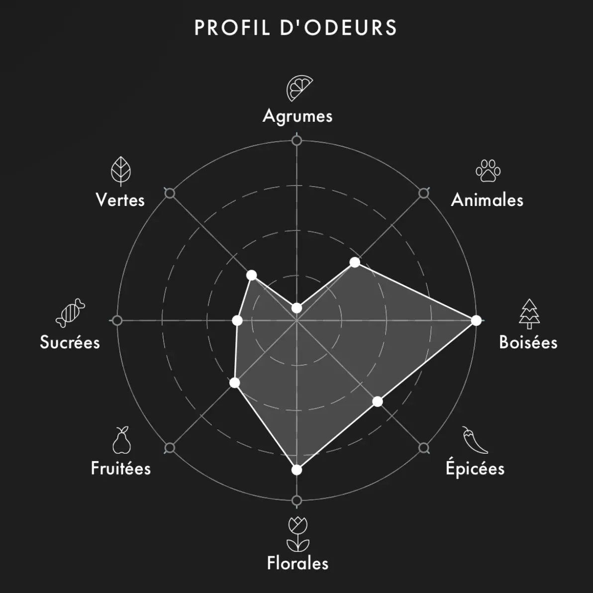 XERJOFF Alexandria 2 decant