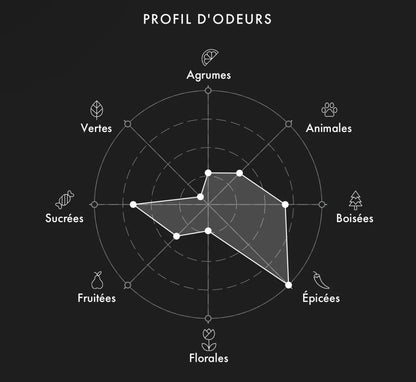 XERJOFF Tony Iommi Monkey Special