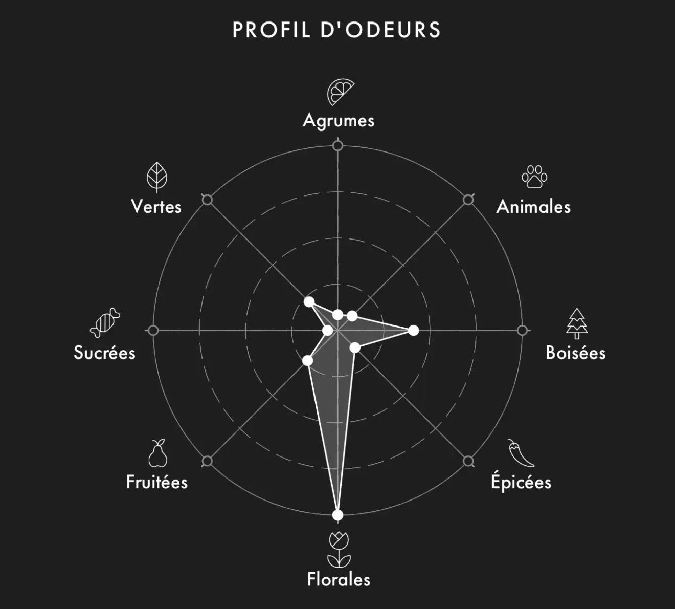 Échantillon Xerjoff Jabir 2ml/5ml/9.5ml